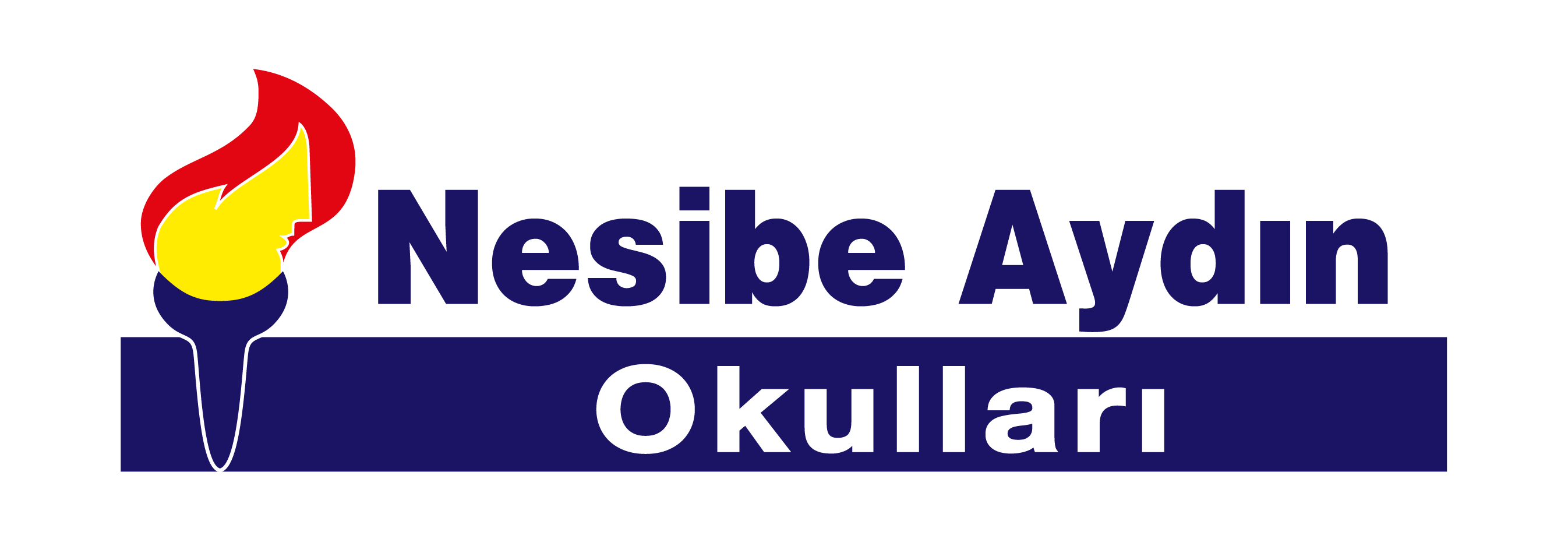 Nesibe Aydın Okulları